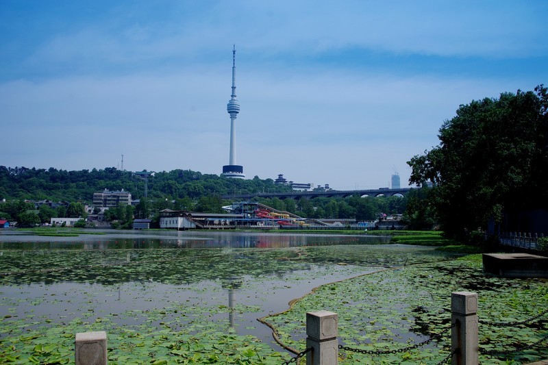 去汉阳莲花湖公园赏景的攻略是什么 (去汉阳莲花湖坐几路车)