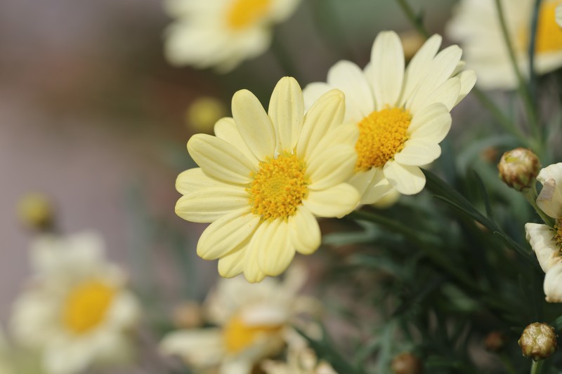 Cover Image of the Post