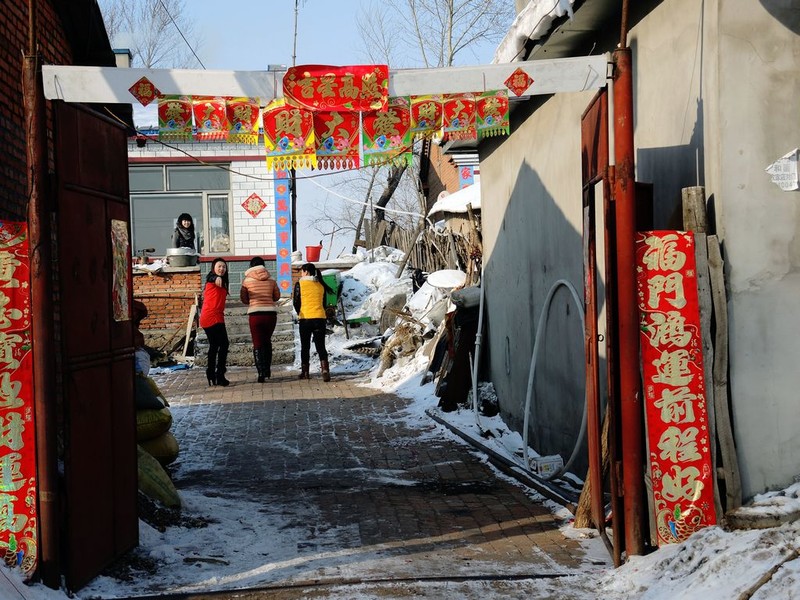 歌唱春天——东北农村的屋里屋外院里院外 中关村在线摄影论坛 