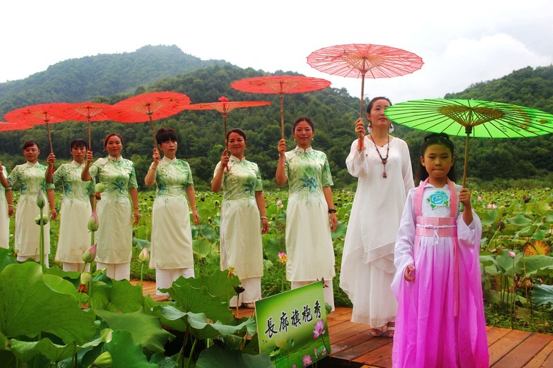 群山环抱,细雨濛濛,荷花仙女飘飘而降-中关村在线摄影论坛