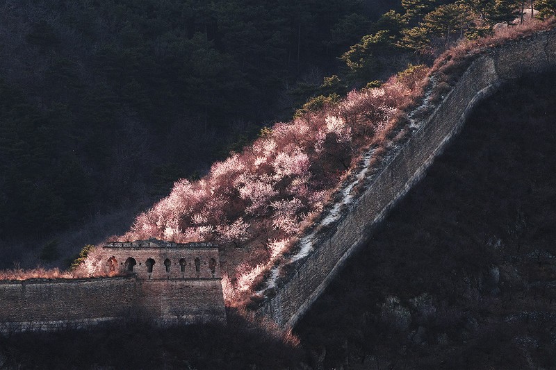 穿越撞道口---黄花城残长城 第2页-中关村在线摄影论坛