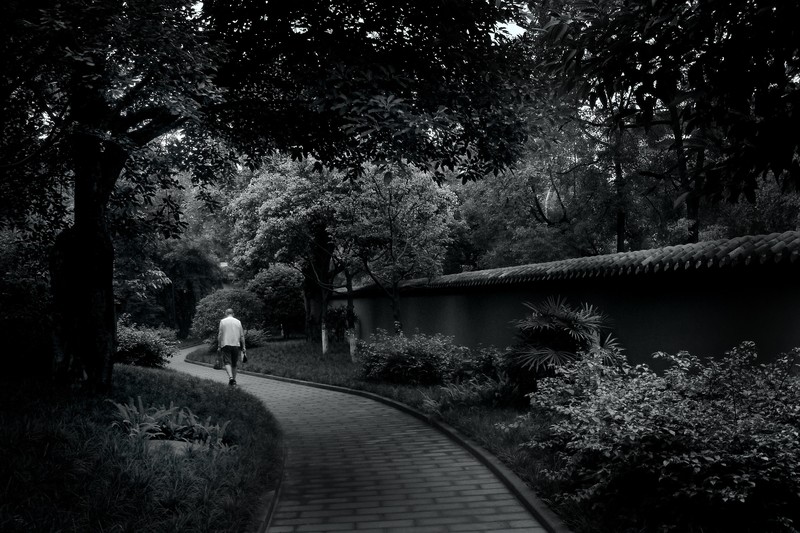 独行侠主场狂飙三分雨点燃全场激情瞬间