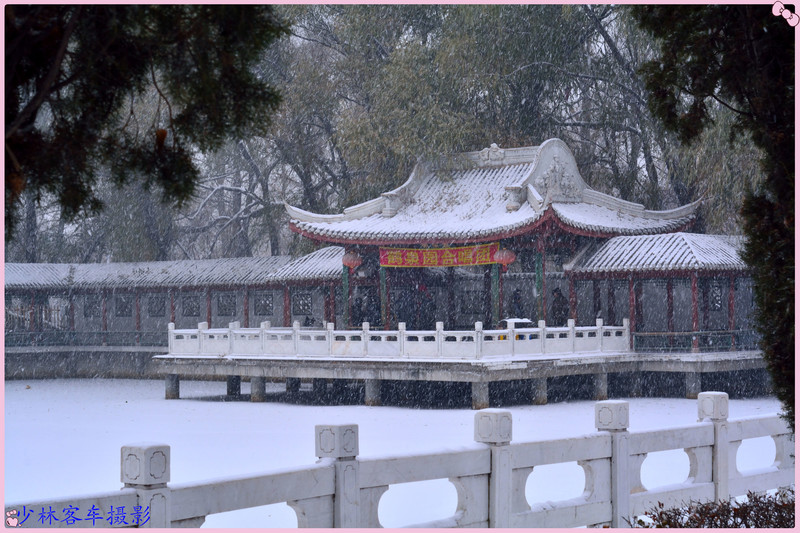 白雪飘飘的北国-中关村在线摄影论坛