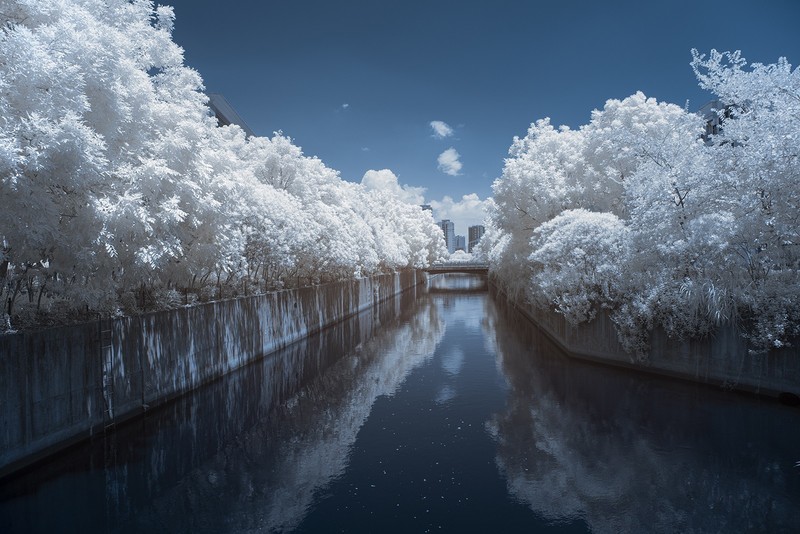 冷门红外人像-中关村在线摄影论坛