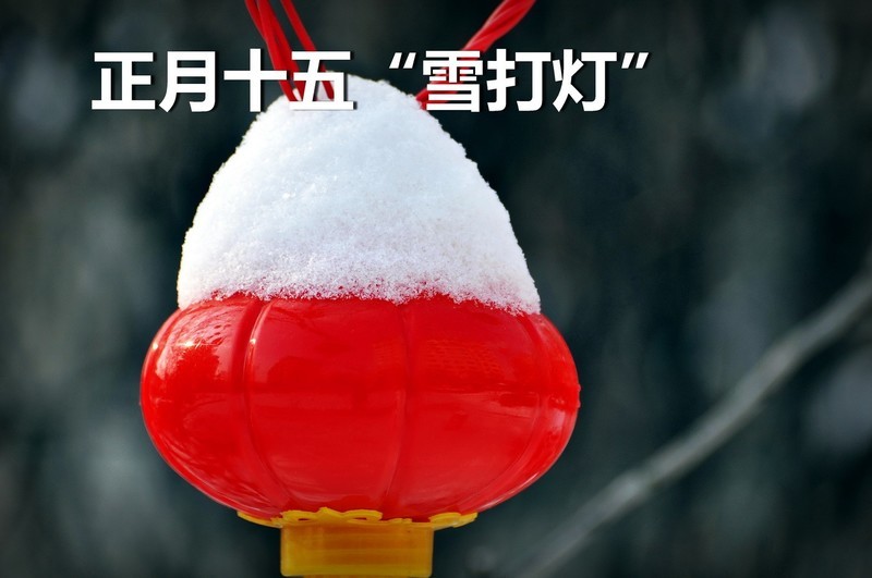 雪打灯-中关村在线摄影论坛