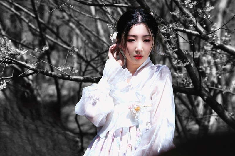 媲美玉渊樱红-中关村在线摄影论坛