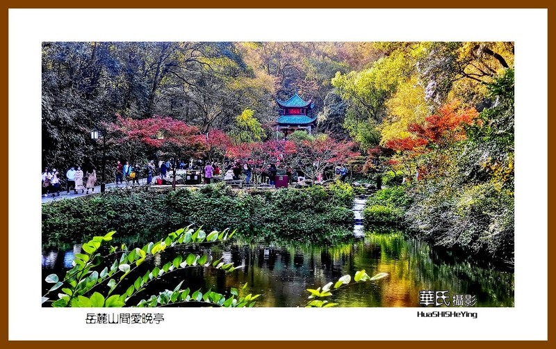 2021南行慢游湖南039——岳麓山间爱晚亭(长沙市)-中关村在线摄影论坛