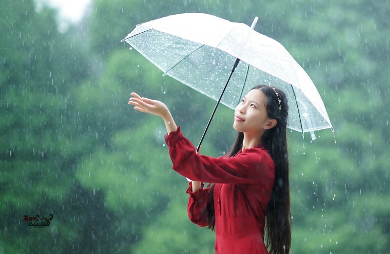 【雨中情】---蓼萧-中关村在线摄影论坛