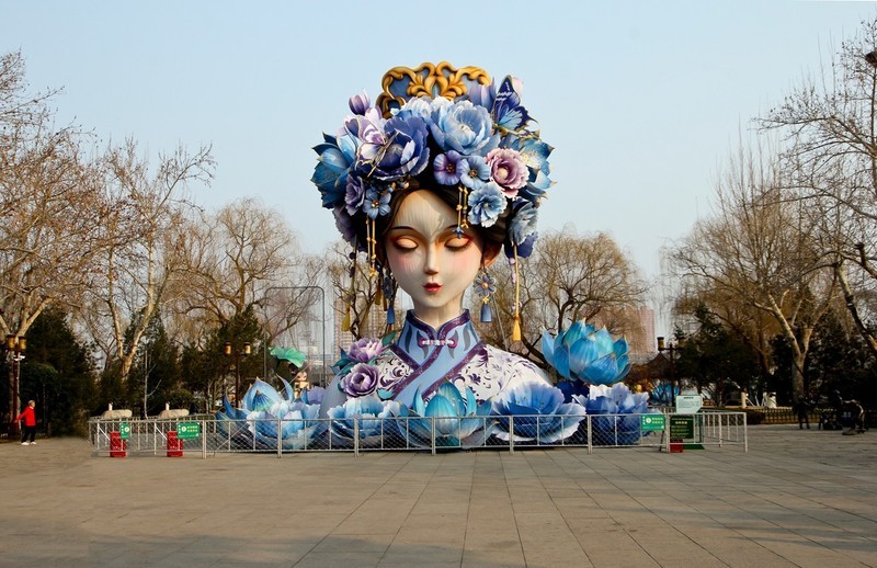杂拍——明湖夏雨荷 迎春花 黑天鹅 第5页-中关村在线摄影论坛