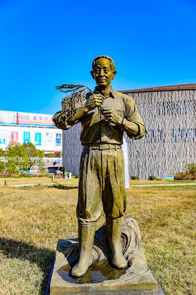 袁隆平水稻搏物馆外 中关村在线摄影论坛 