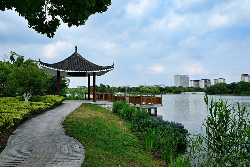 公园夏景-中关村在线摄影论坛