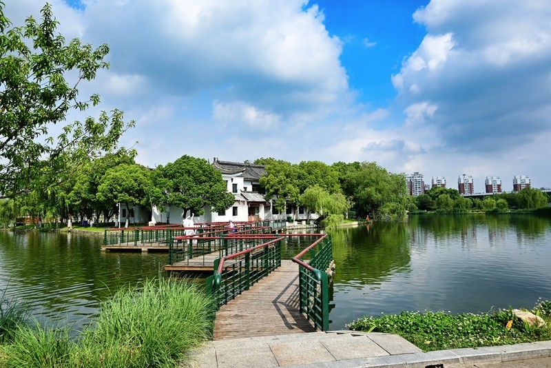 公园夏景(续1)-中关村在线摄影论坛