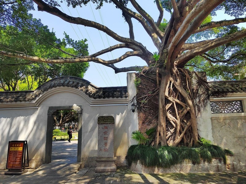 墨池公园(2)-中关村在线摄影论坛