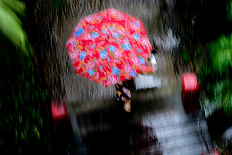 夏雨景色（二）-中关村在线摄影论坛