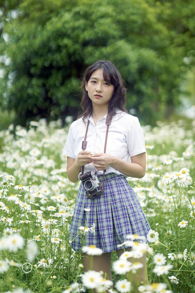 安一小雏菊 第2页-中关村在线摄影论坛