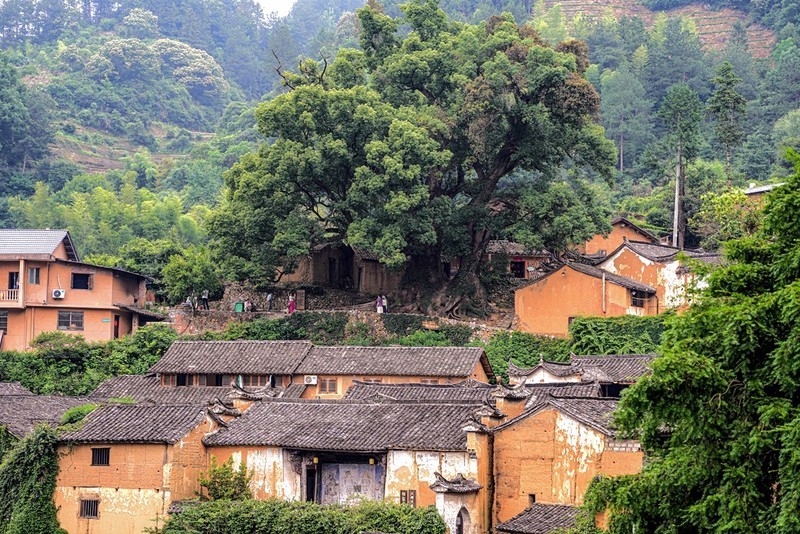 浙南丽水松阳--杨家堂村【9】-中关村在线摄影论坛