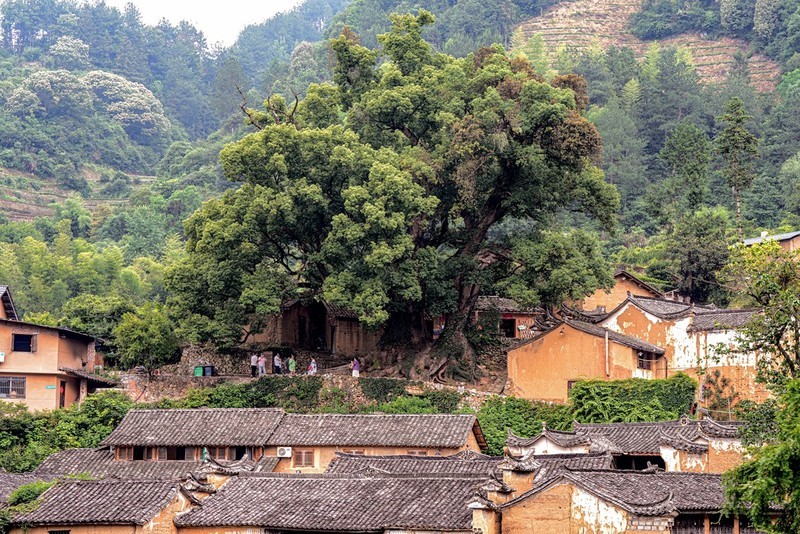 浙南丽水松阳--杨家堂村【11】-中关村在线摄影论坛
