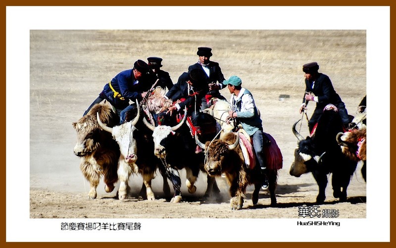 2023西行游记(新疆128)—节庆赛场叼羊比赛尾声(喀什塔县)-中关村在线摄影论坛