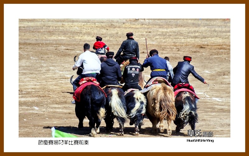 2023西行游记(新疆124)—节庆赛场叼羊比赛前奏(喀什塔县)-中关村在线摄影论坛
