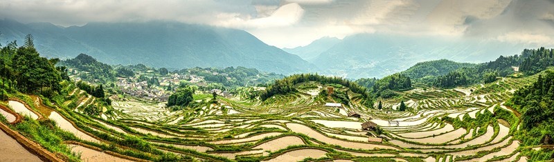 浙南丽水云和--云和梯田【6】-中关村在线摄影论坛