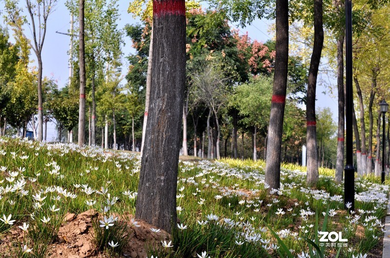 残幅机定焦头拍风景