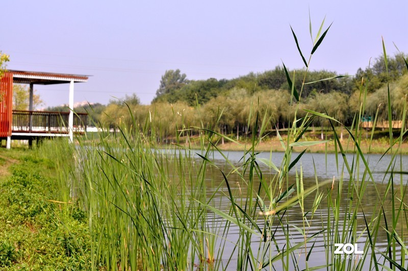 残幅机定焦头拍风景