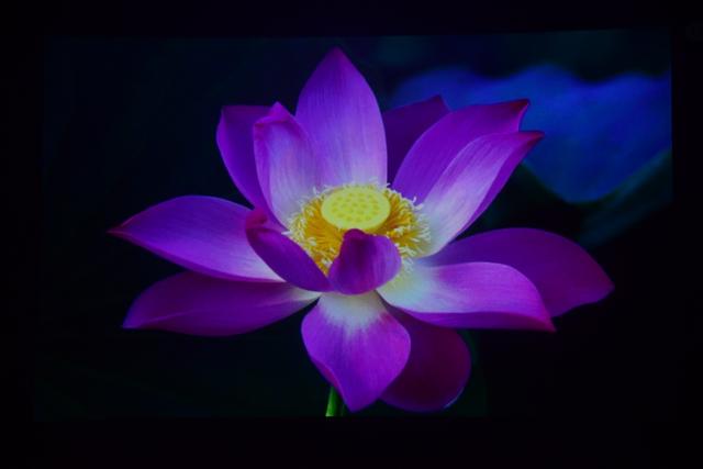 #投影仪# 口袋里的投影仪—随时随地的电影院京造微型投影仪HDP200