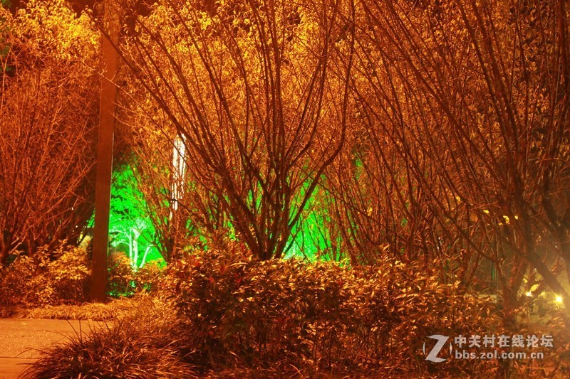 蒋王水邑半岛夜色