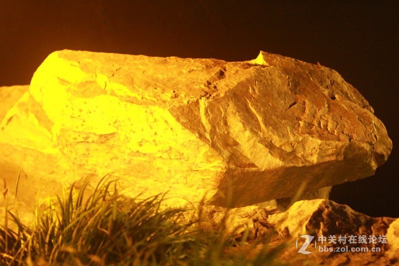 蒋王水邑半岛夜色