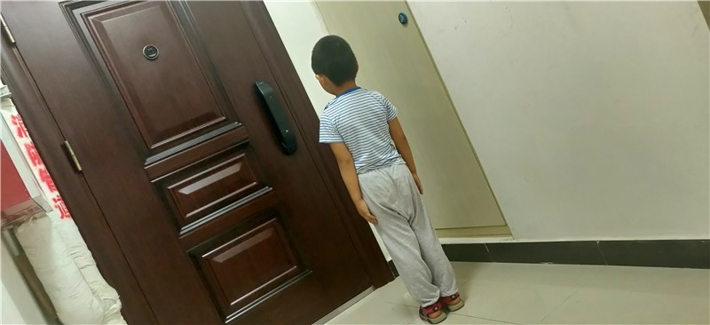 阿亮的智能家居系列 篇一：多场景体验德施曼人脸识别智能锁R5