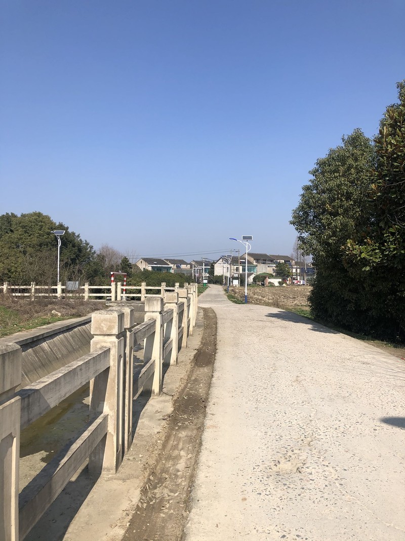 iPhonex  日常拍照样张