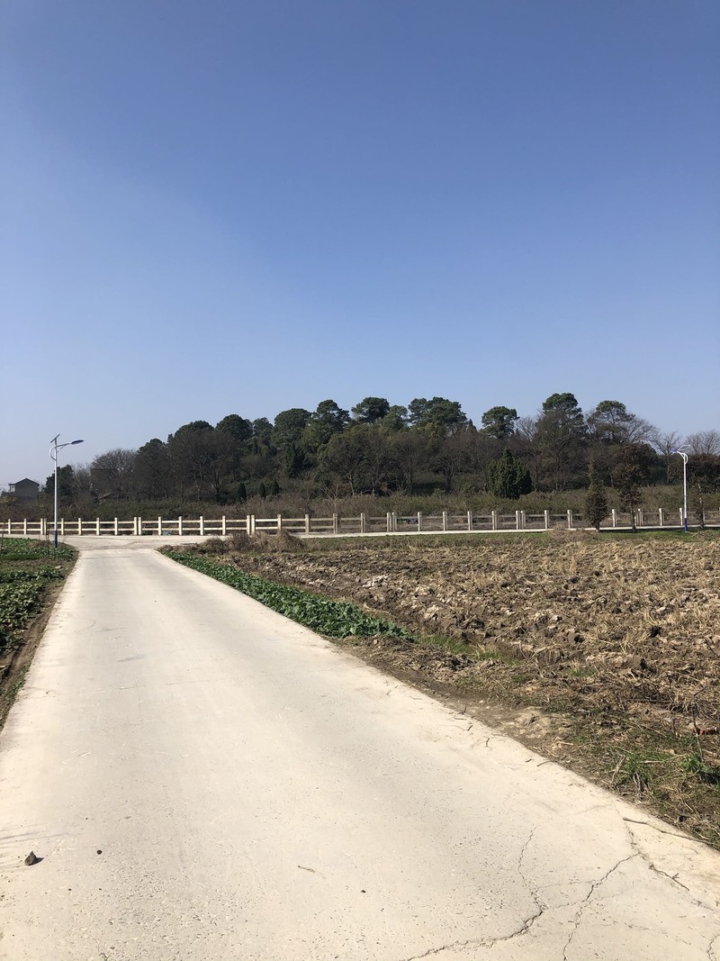 iPhonex  日常拍照样张