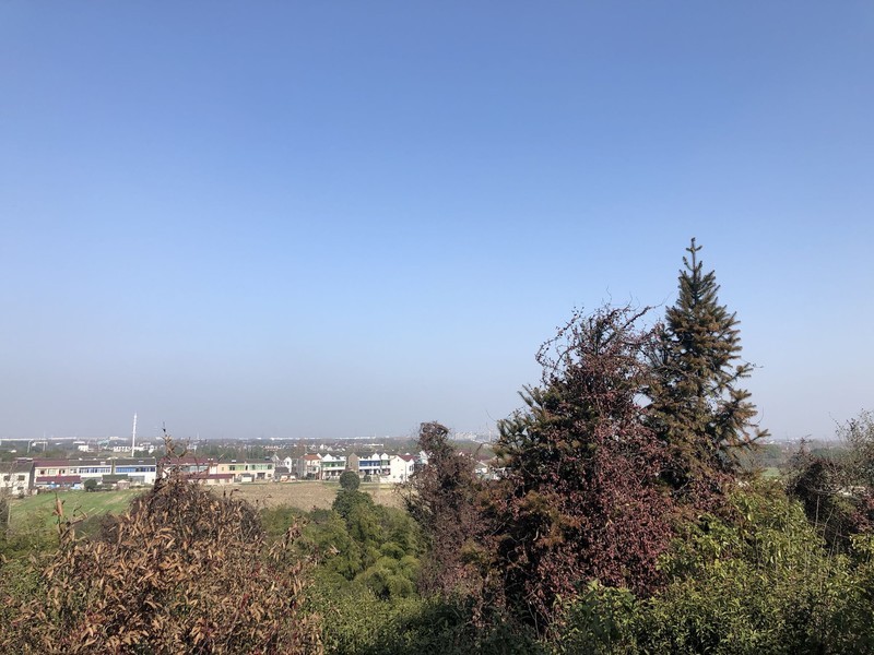 iPhonex  日常拍照样张