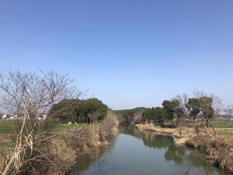 iPhonex  日常拍照样张