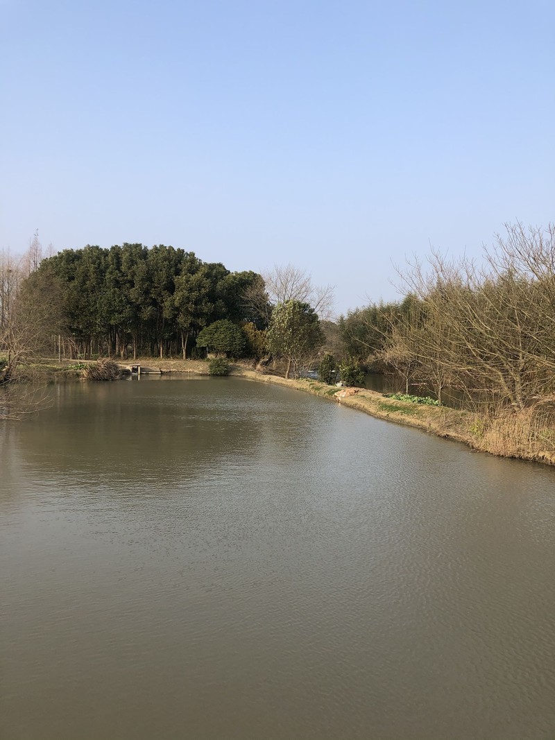 iPhonex  日常拍照样张