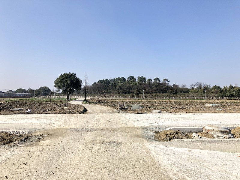 iPhonex  日常拍照样张