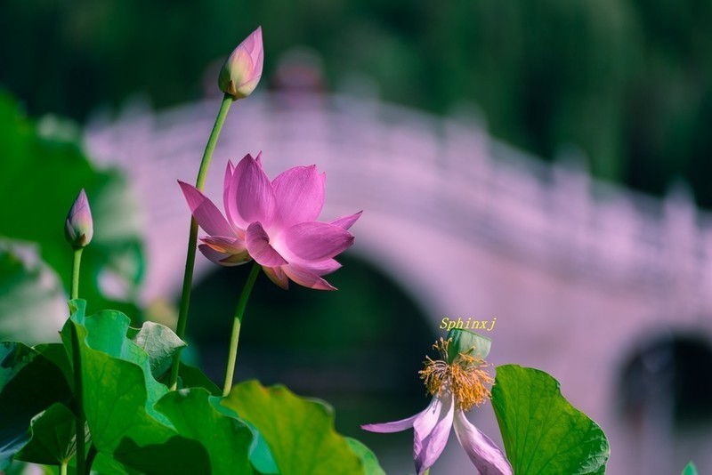 先修两张，一张阴天，一张太阳天。