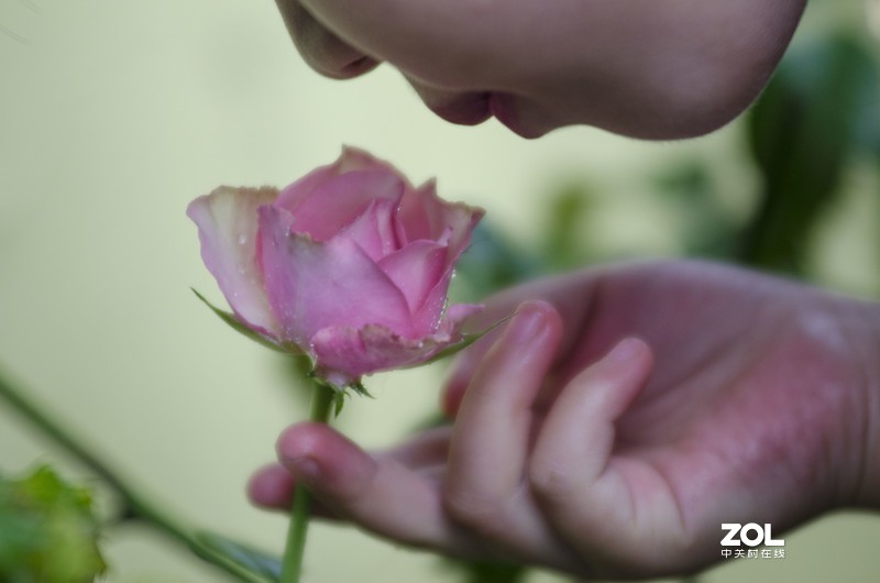 此版人气太少，添点人气！《雨后》