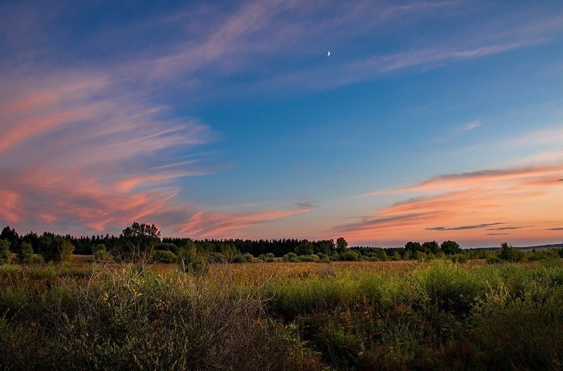 发几风景人像杂片