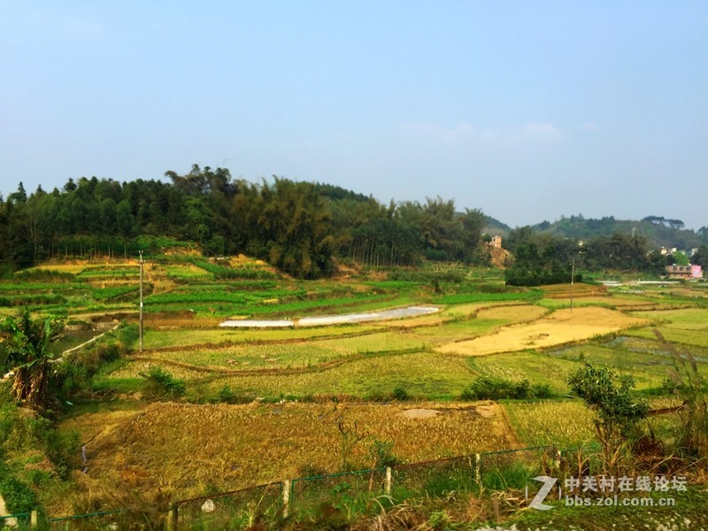 #穹顶之下# 田园风光iPhone 6 Plus