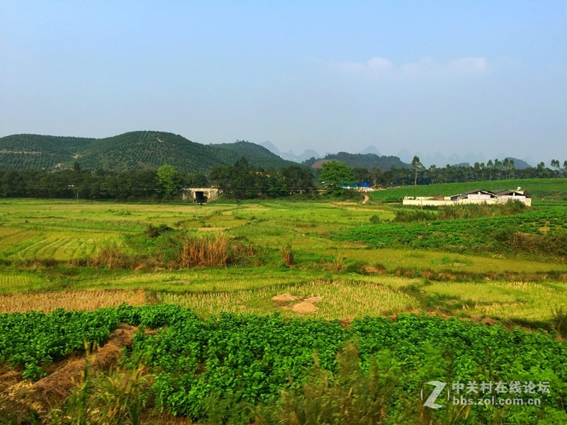 #穹顶之下# 田园风光iPhone 6 Plus