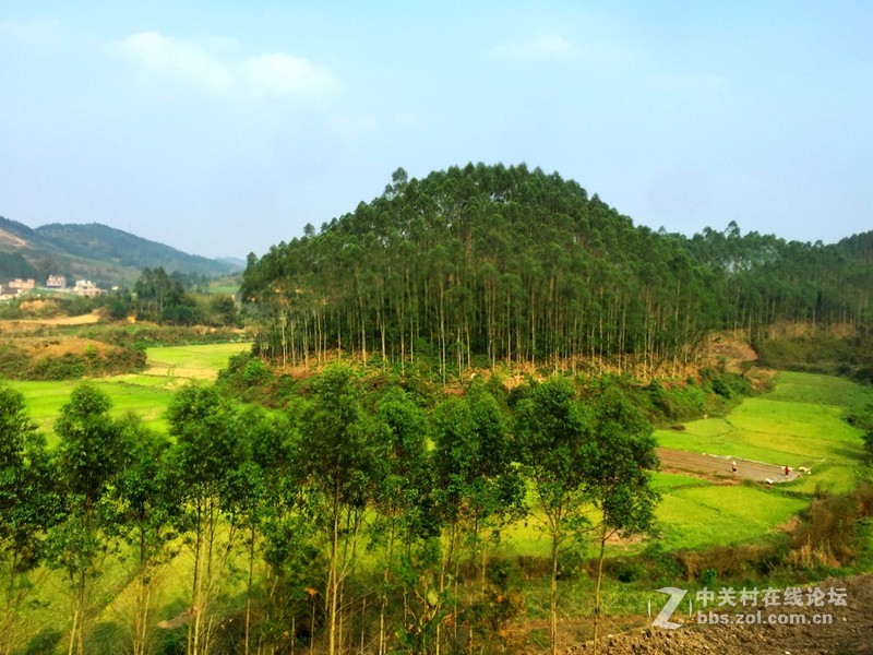 #穹顶之下# 田园风光iPhone 6 Plus