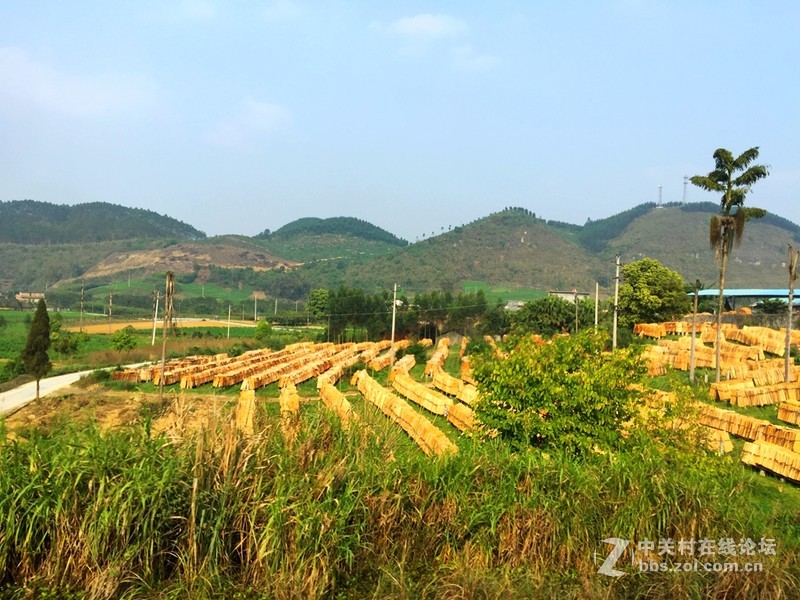 #穹顶之下# 田园风光iPhone 6 Plus