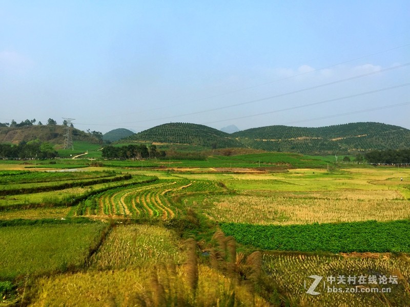 #穹顶之下# 田园风光iPhone 6 Plus