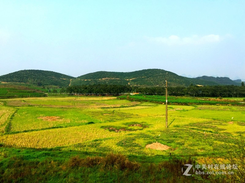 #穹顶之下# 田园风光iPhone 6 Plus