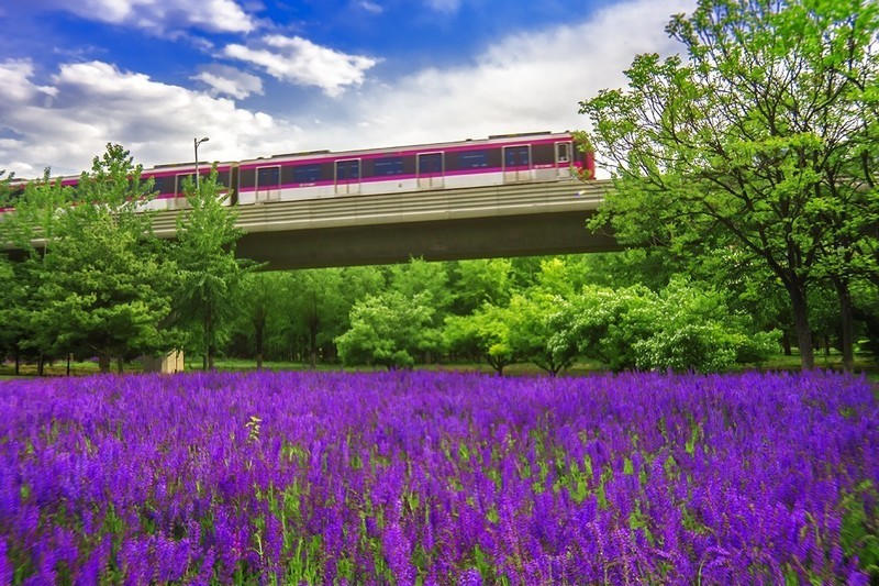 《拍城市建筑的要素》功能活力  空间布局  秩序节奏  厚重影调