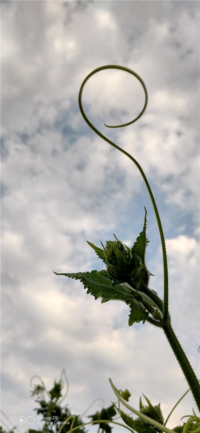 评测：骁龙730伴轻薄长续航联想Z6双发力，拼得就是性能