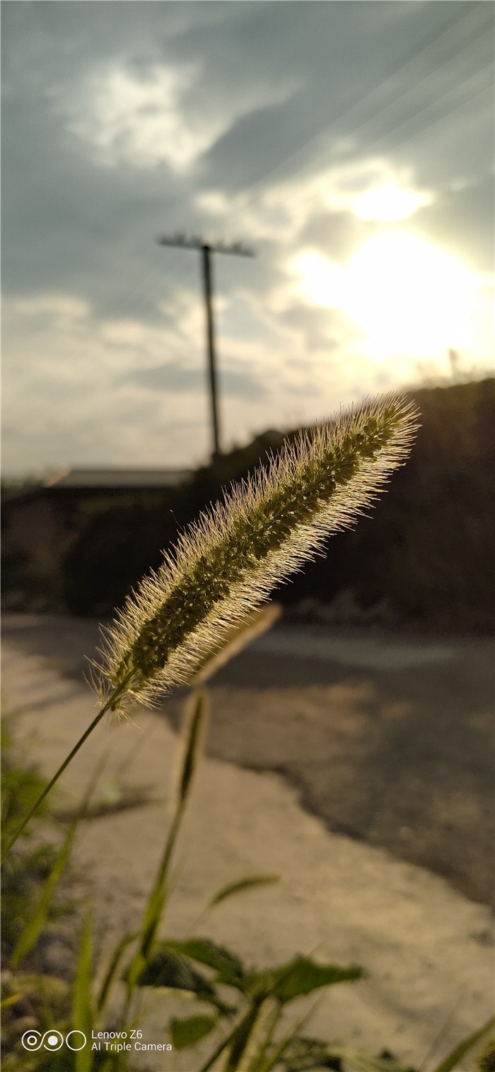 评测：骁龙730伴轻薄长续航联想Z6双发力，拼得就是性能