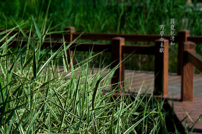 5T版块2015年5月份上旬小结和汇总（试）