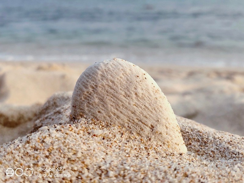 一机在手美好全收罗，4800万像素三摄的vivo X27拍照体验